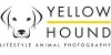 Yellow Hound