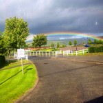 Rainbow over the Racecourse - Photo