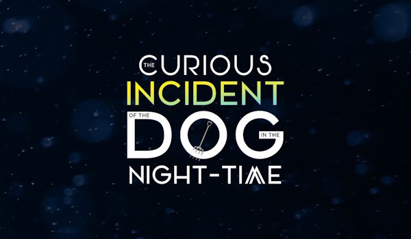 The Curious Incident of the Dog