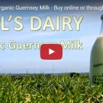 Nell's Dairy - Organic Guernsey Milk - video