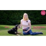 Joyful Dogs – Dog & Puppy Training  (with training video)