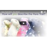Cotswolds AONB Hare Trail 2018 - One Word