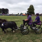 Review of Cotswold Show, Cirencester 2019 - in photos