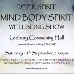 Mind Body Spirit Wellbeing Show - Ledbury