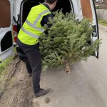 Volunteer for Sue Ryder's Treecycling scheme 