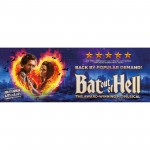 Bat Out Of Hell