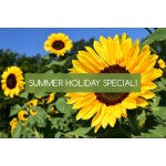 Summer Holiday Special 2026!