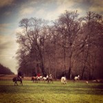 Hunting in Cirencester Park - Photo