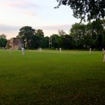 Cricket at Dusk - photo
